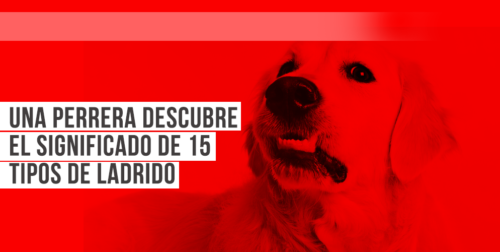 ladridos